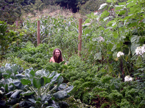 humanue compost garden